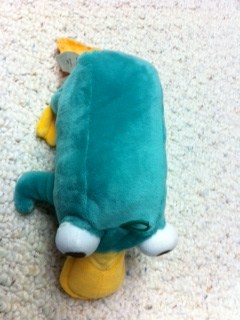 Perry (Definitely not Agent P)