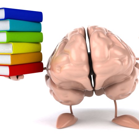 A brain holding books representing the library and because I own the rights already